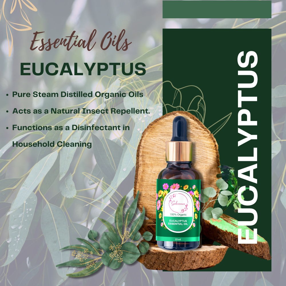 uses &amp; benefits of eucalyptus essential oil