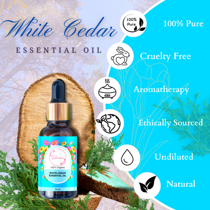 White Cedar Essential Oil | Essential Oil | Gulessence