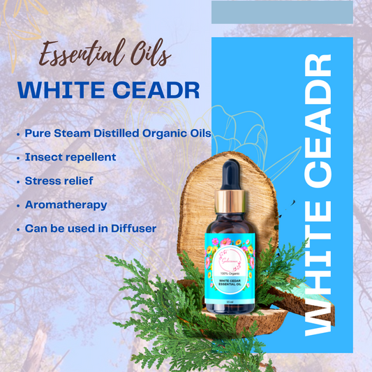 benefits of white cedar essential oil