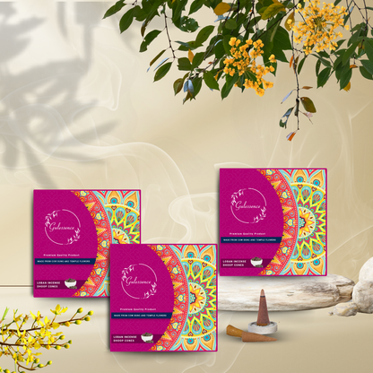 Loban Dhoop Cones | Made from Cow dung &amp; Temple Flower | Gulessence - Gulessence