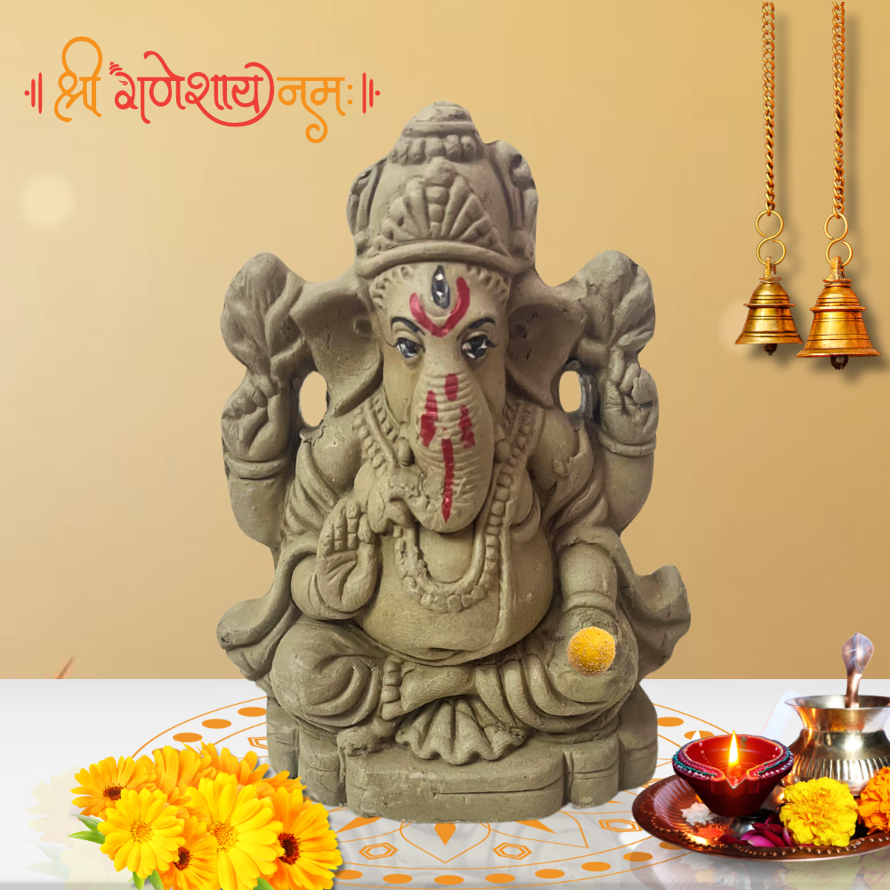 Eco-Friendly Ganesh Puja Big Box